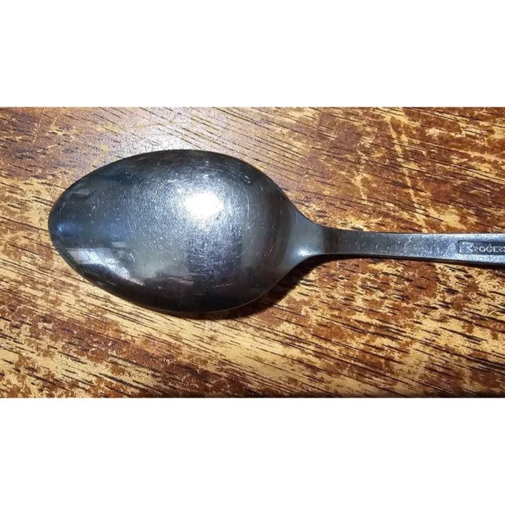 VTG ROGERS Stanley Roberts CASA VISTA Stainless Dinner Teaspoon Spoon Japan MCM